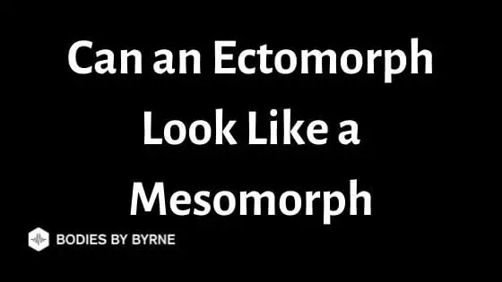 can an ectomorph look like a mesomorph