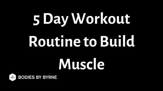 5 Day Workout Routine to Build Muscle - Bodies By Byrne