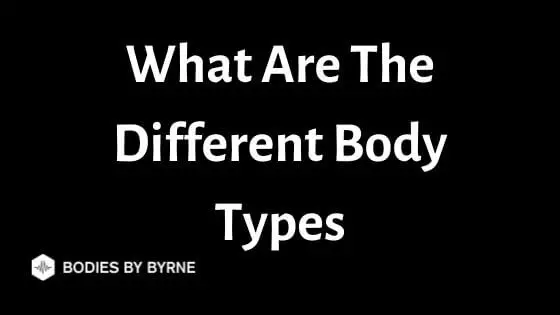What Are The Different Body Types